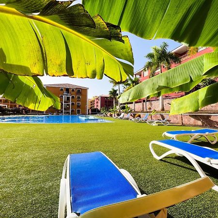 Beautiful 1 Bedroom Apartment In Palm Mar, Pm101 Eksteriør bilde